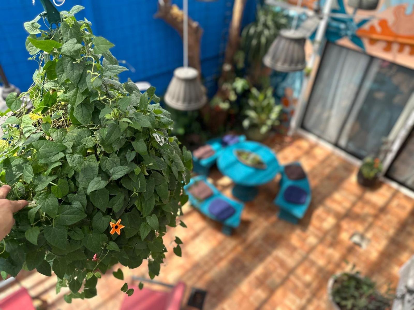 Jungla Urbana, Bnb Pavas Екстериор снимка