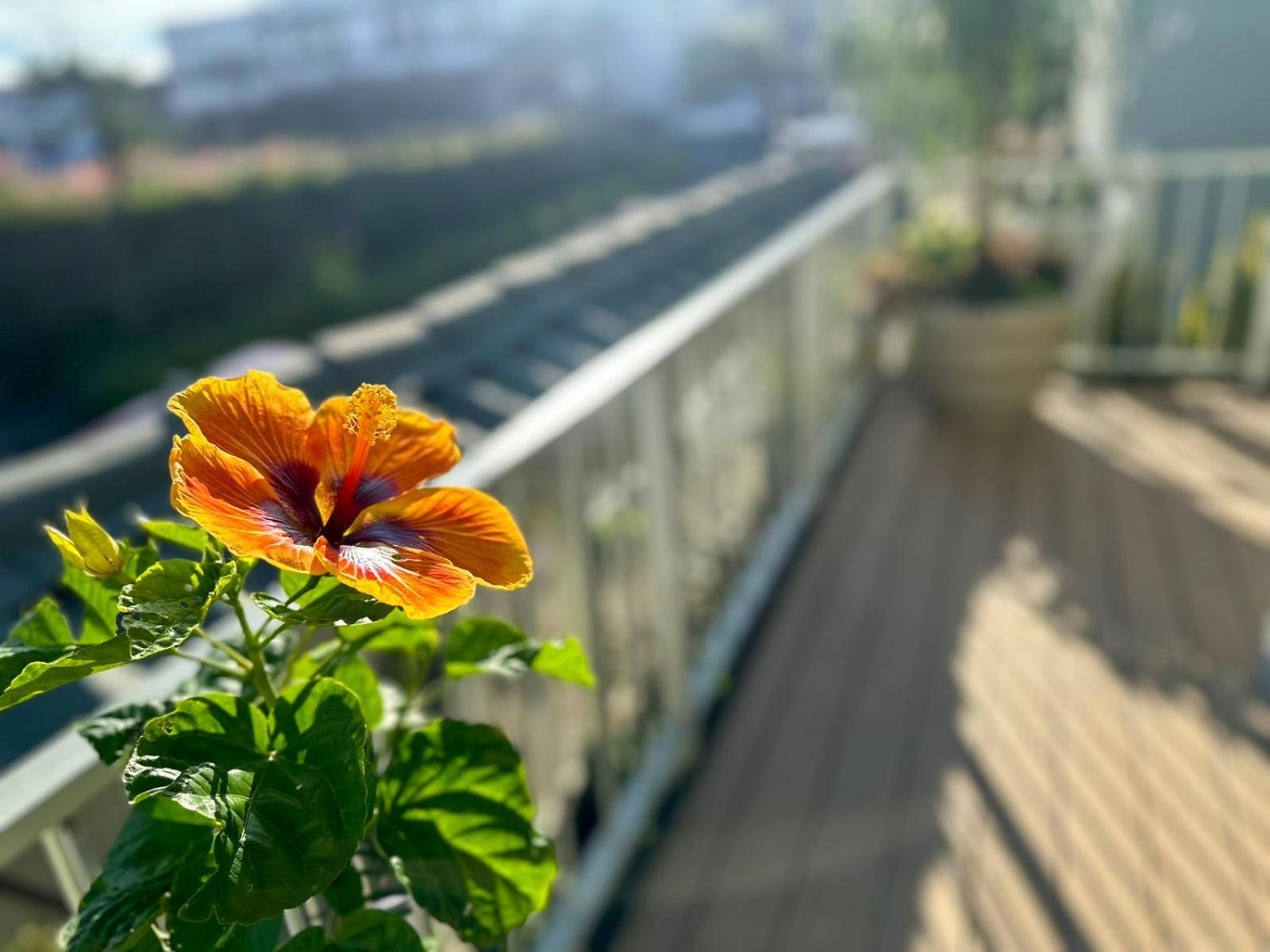 Jungla Urbana, Bnb Pavas Екстериор снимка
