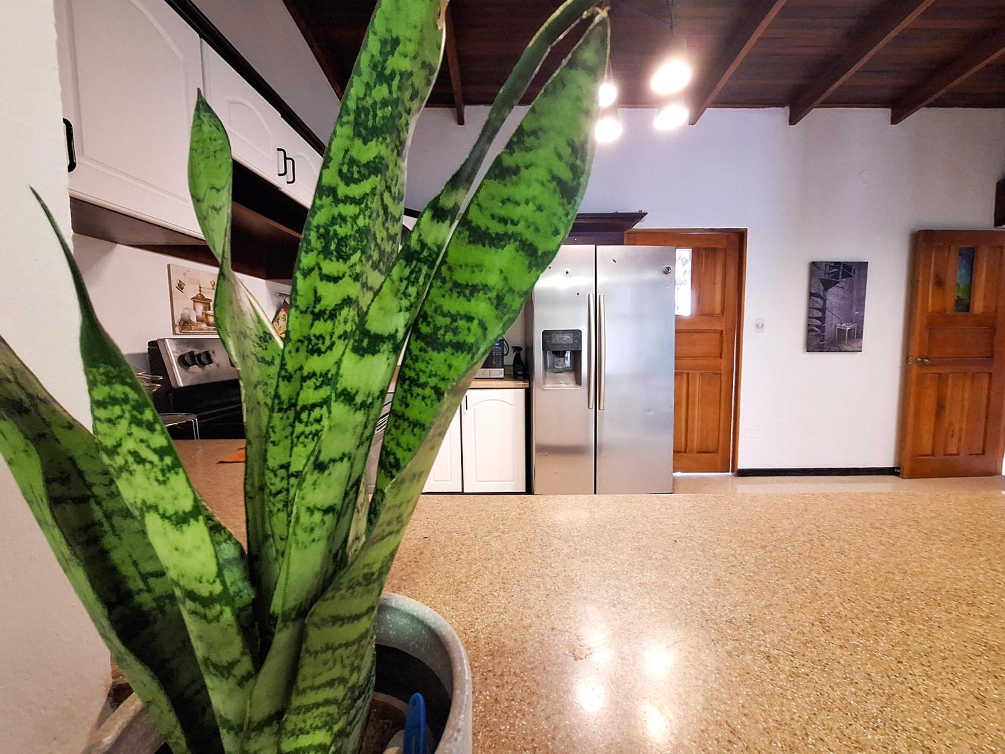 Jungla Urbana, Bnb Pavas Екстериор снимка